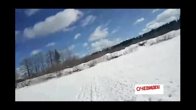 Отмахался таки лыжной палкой