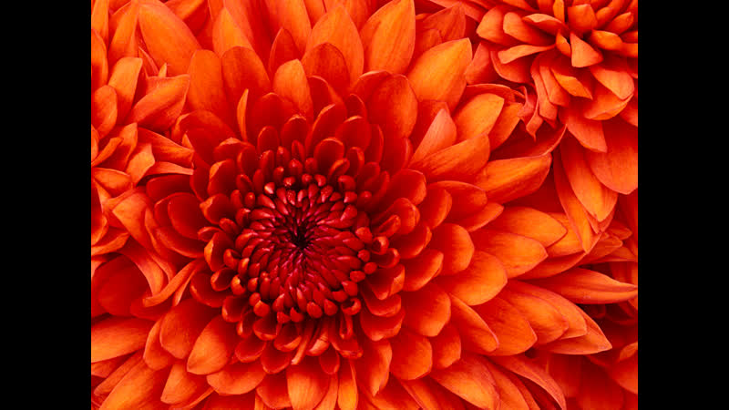 Стараемся выигрывать в любимой dota 1