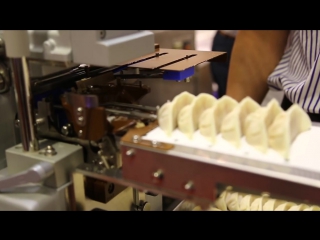 Japan gyoza machine