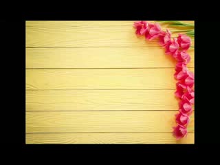 Heart love rozovye tiulpany pink romantic tulips tiulpany 1 mp4