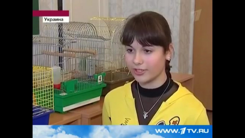 Как избавить детей от желания есть фастфуд