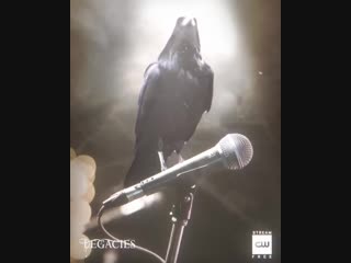 Наследия промо к 1 11