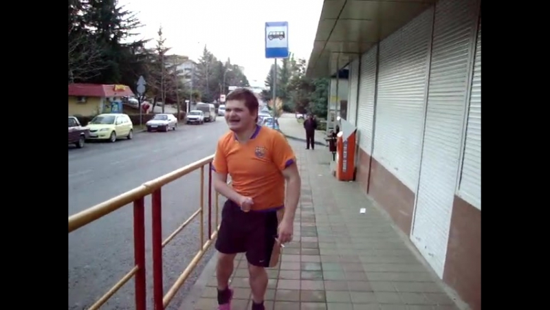 Типичный дотер