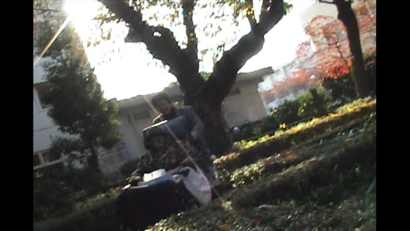 Letter from a yellow cherry blossom / tsuioku no dansu (2002) naomi kawase