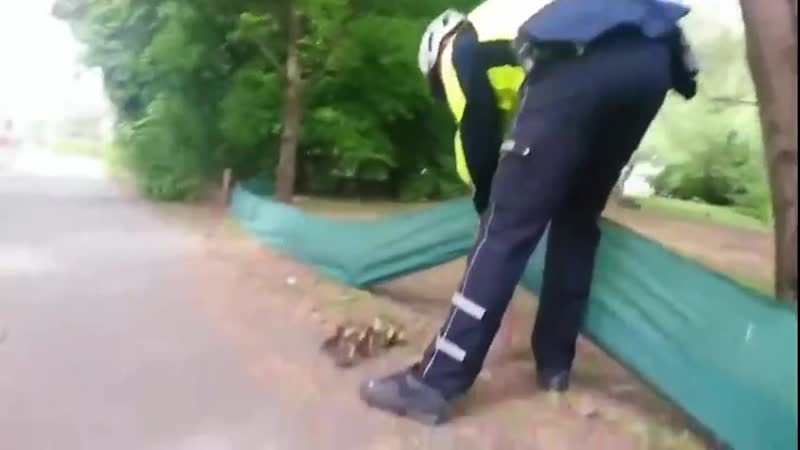 Решили помочь многодетной маме