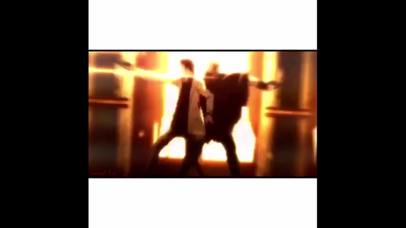 Sᴛʀᴀʏ ᴅᴏɢs