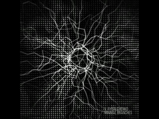 Minimal branches (official promo video)