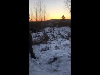 Cz 455 varmint 22lr рдт 140мм 5