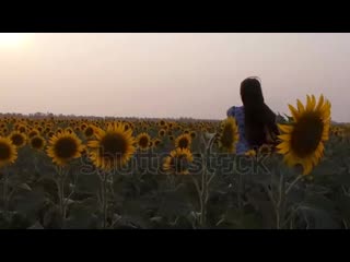 Stock footage long haired girl in a dress runs on a field of sunflowers slowmotion mp4