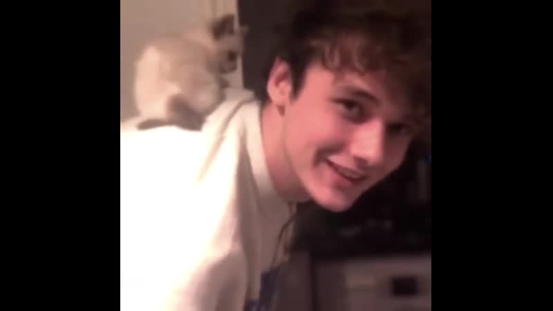 ↬ mcyt; wilbur soot