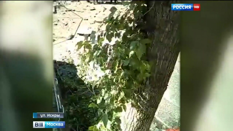 На северо востоке москвы прорвало водопровод, повреждены 12 автомобилей