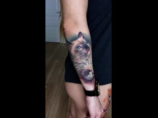 Caroline friedmann tattoo cat (full healed)