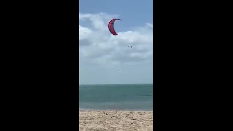 Ветер шалун