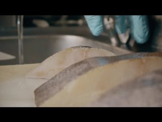 John dory острый нож – уже полдела