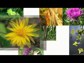 Beautiful eyes! lierac diopti video