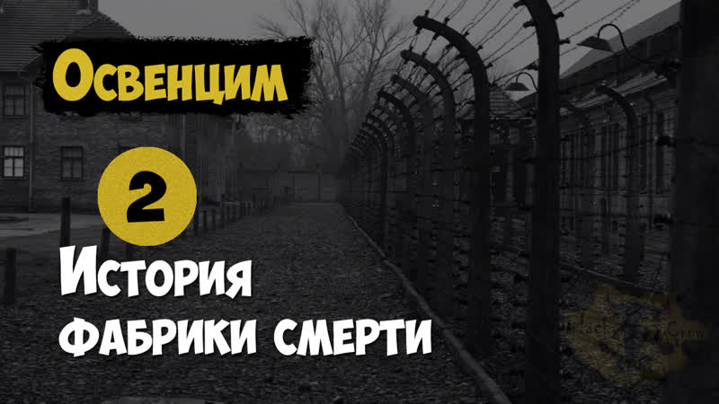 Освенцим (аушвиц) история фабрики смерти фильм второй