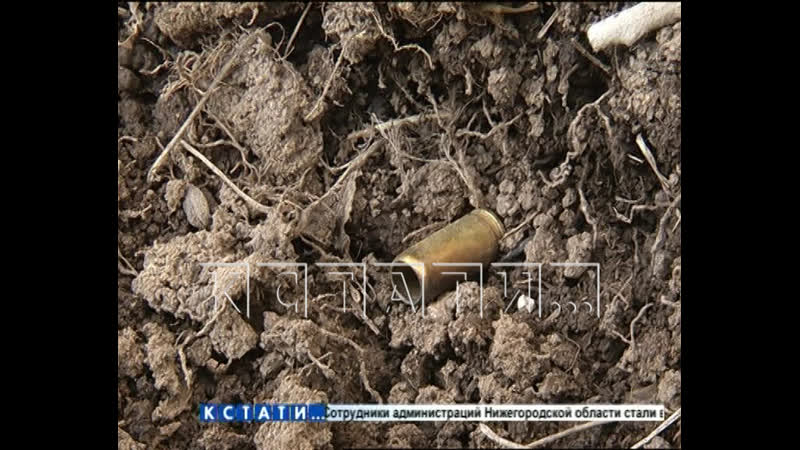 Чтобы заставить соседей соблюдать режим самоизоляции, житель "цветов" открыл стрельбу