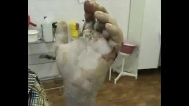 'волк в овечьей шкуре' или просто коаксил! (слабонервным не смотреть!!!!!!!)