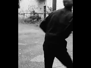 Bravo litva siberian mowgli