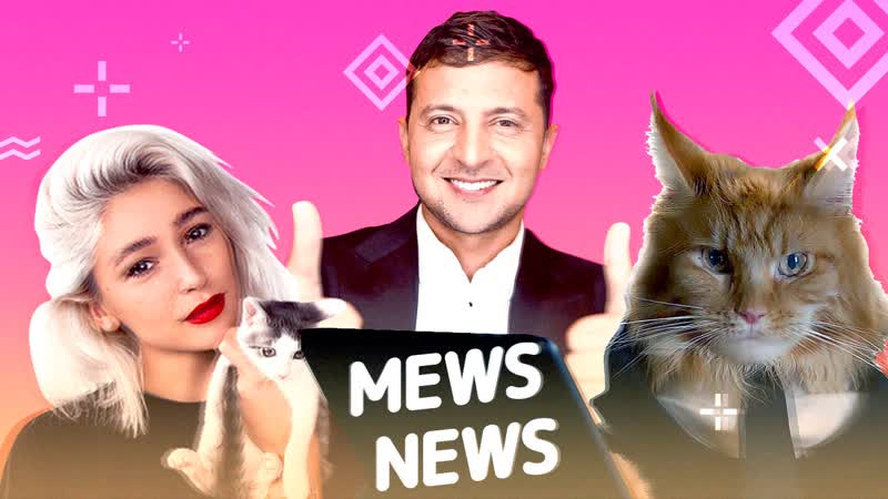 Mews news кот ушанка, ивлеева, зеленский