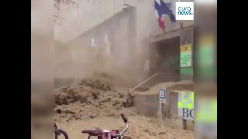 Французские крестьяне кизяком ополоснули посольство украины