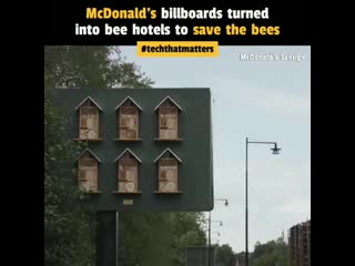 Mcdonald's in sweden is turning their regular roadside billboards into giant bee boards are permanent wood installati
