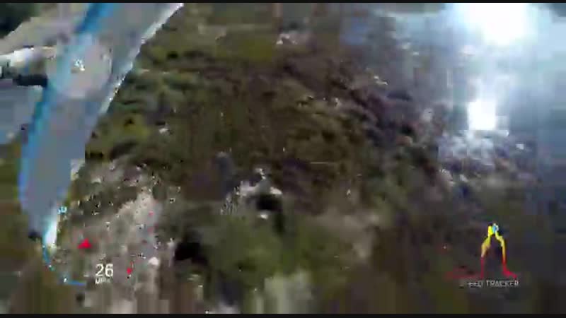 По кормил птичек mp4