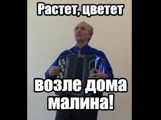 Растет, цветет возле дома малина! #гужевtv