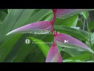 Delerium sensual chillout mix