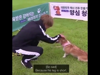 Taehyung reaction when he realised how short chopa legs are will always be precious i love