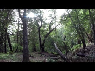 Gopro sneak peek of gopro quadcopter footage