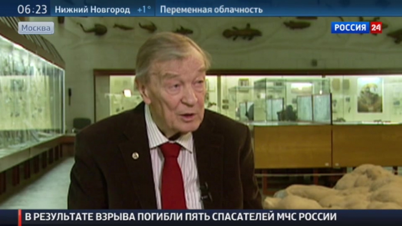 Российская наука доказала внеземное происхождение жизни