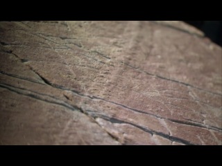 Первая жизнь с дэвидом аттенборо/ david attenborough's first life, bbc, 2010 1 серия зарождение