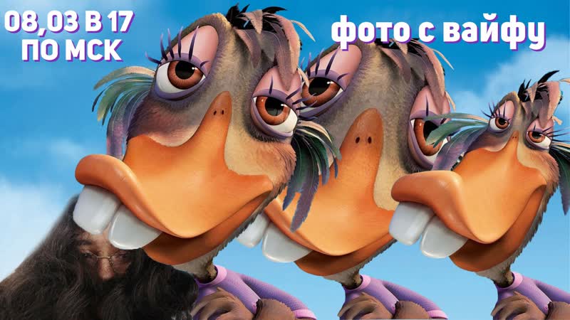 Цыпленок цыпа