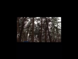 🌲спиливание деревьев в молодые садике „переезд воронеж “🌲