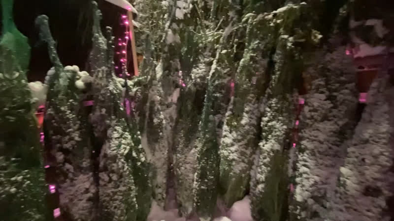 Ёлочный базар