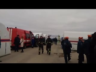 Live pearl beach | жемчужный пляж |