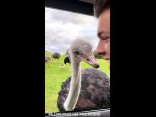 Alex with malte / ree safari park / x20