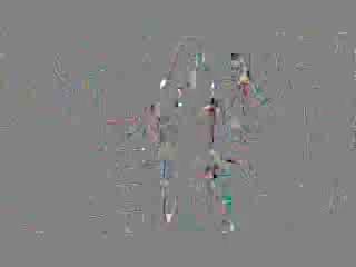 2010 02 13 nonito donaire vs manuel vargas