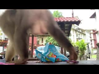 3 girls gets assaulted live