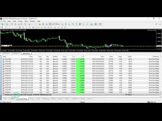 Forex rock star ea live trade on real account
