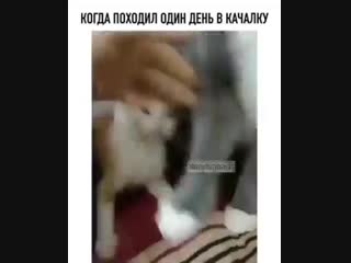 Доминируй, властвуй, унижай