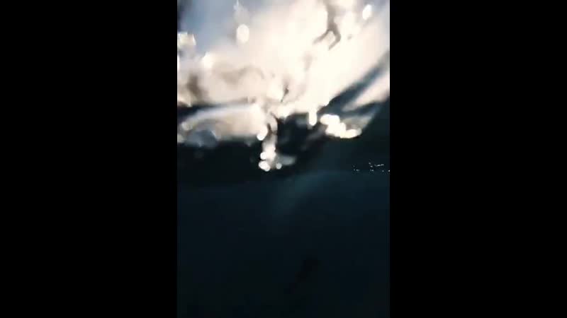 Springer прыгун