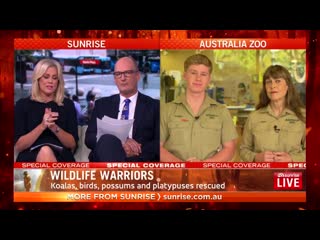 Terri and robert irwin about australian bushfires sunrise