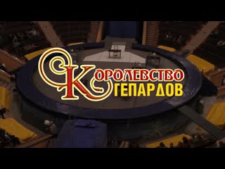 «королевство гепардов» / 1 отд (2016) fhd