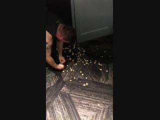 За кадром мема