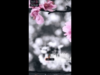 180301 christian instastory video