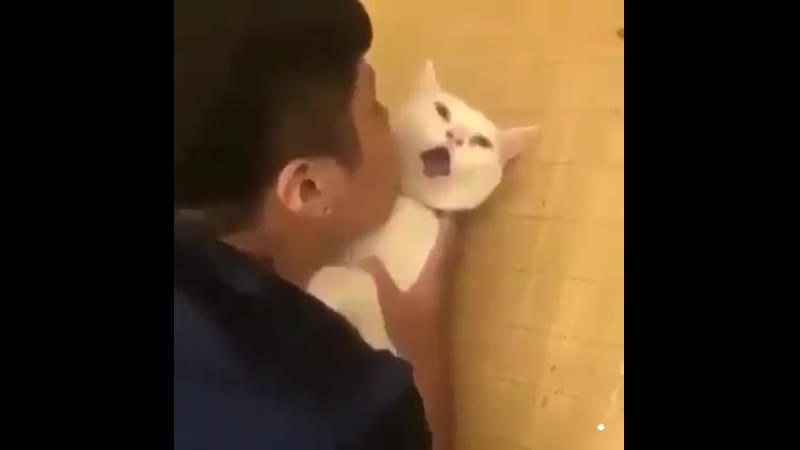 Умоляю, отпусти меня! 😂