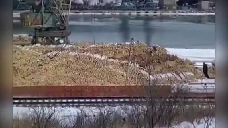 2021 год хабаровский край порт ванино старые советские краны отгружают тонны леса для вывоза в китай