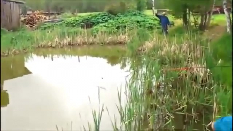 Вражина поганый, хитрый кот
